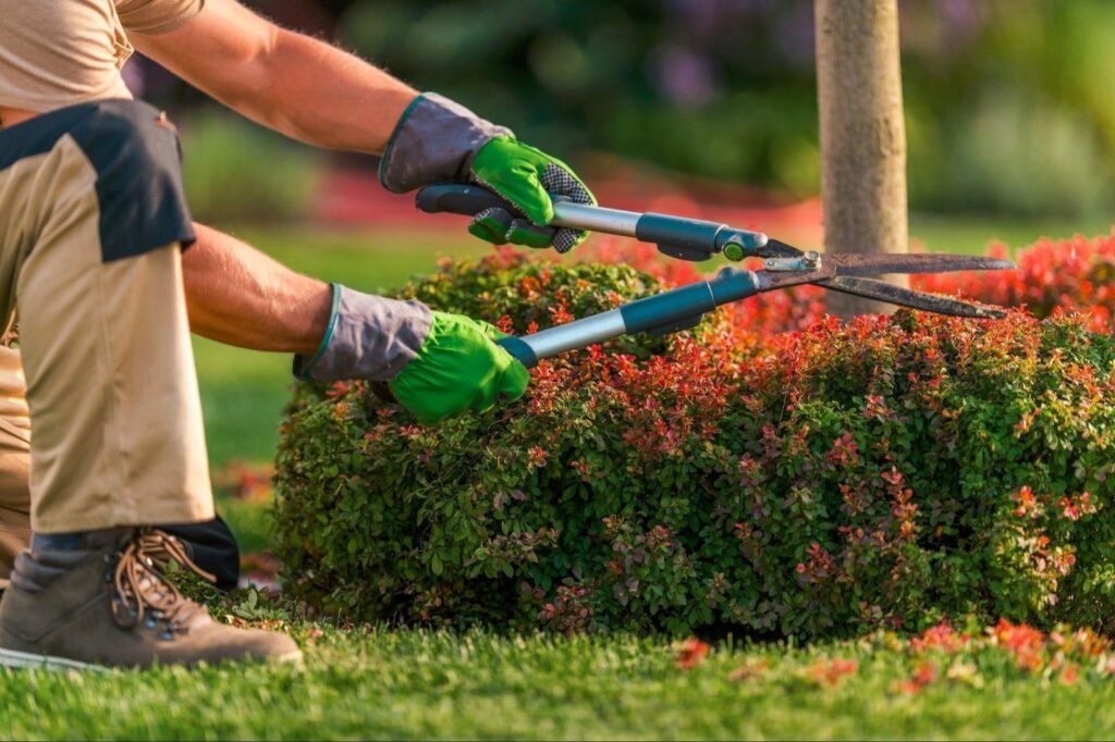 Gardening Yard Maintenance