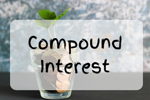 Step-by-Step Guide to Use a Compound Interest Calculator Compound Interest Calculator