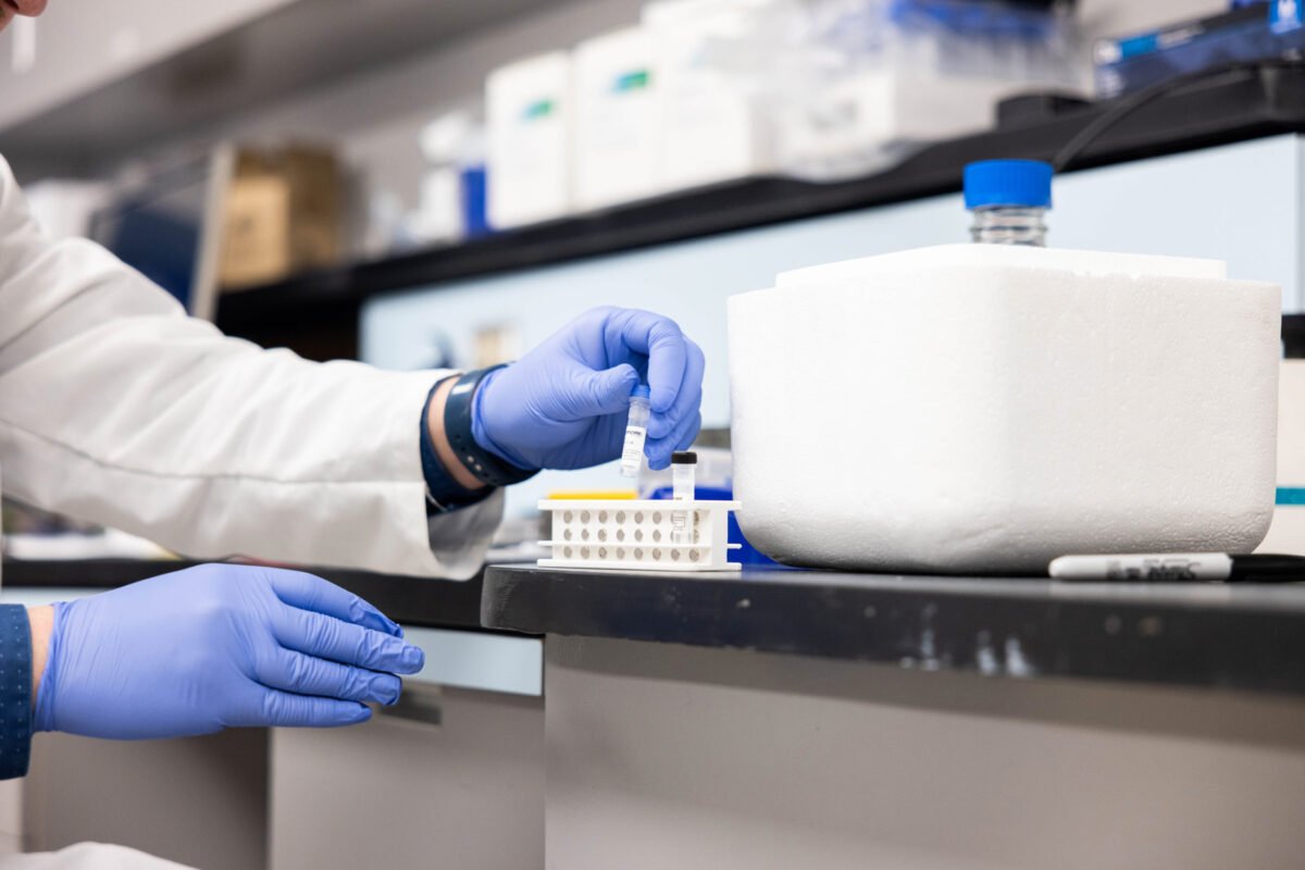 maternal cell contamination